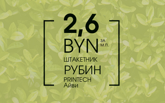 СУПЕРЦЕНА 2,6 руб. за м.п. на штакетник Рубин в покрытии ЭЛИТ Айви (PRINTECH) СУПЕРЦЕНА 2,6 руб. за м.п. на штакетник Рубин в покрытии ЭЛИТ Айви (PRINTECH)