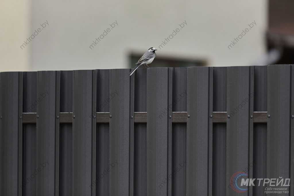 Штакетник металлический РУБИН, 8019 МАТ